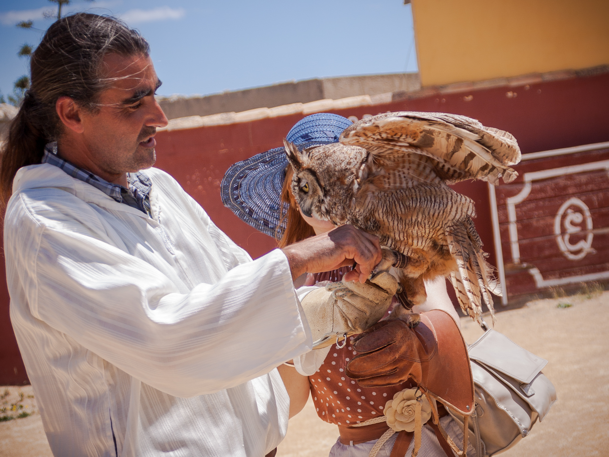 AVES EN VUELO EXHIBICION DE CETRERIA CETRERIA